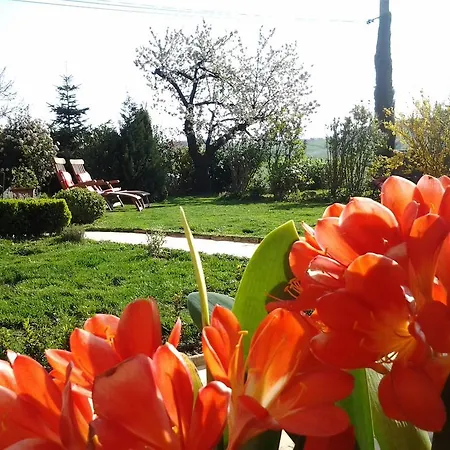 Bed & Breakfast Le Clos Du Merle Savigny (Rhone)